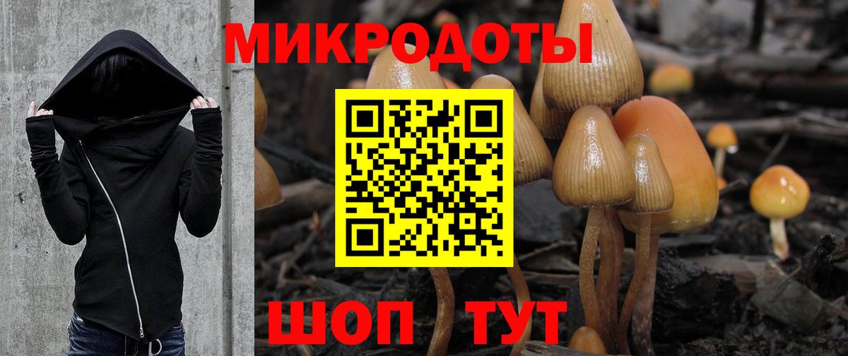 купить наркоту  Псилоцибиновые грибы мухоморы  Вход с VPN  Галлюциногенные грибы ЛСД  Черкесск 